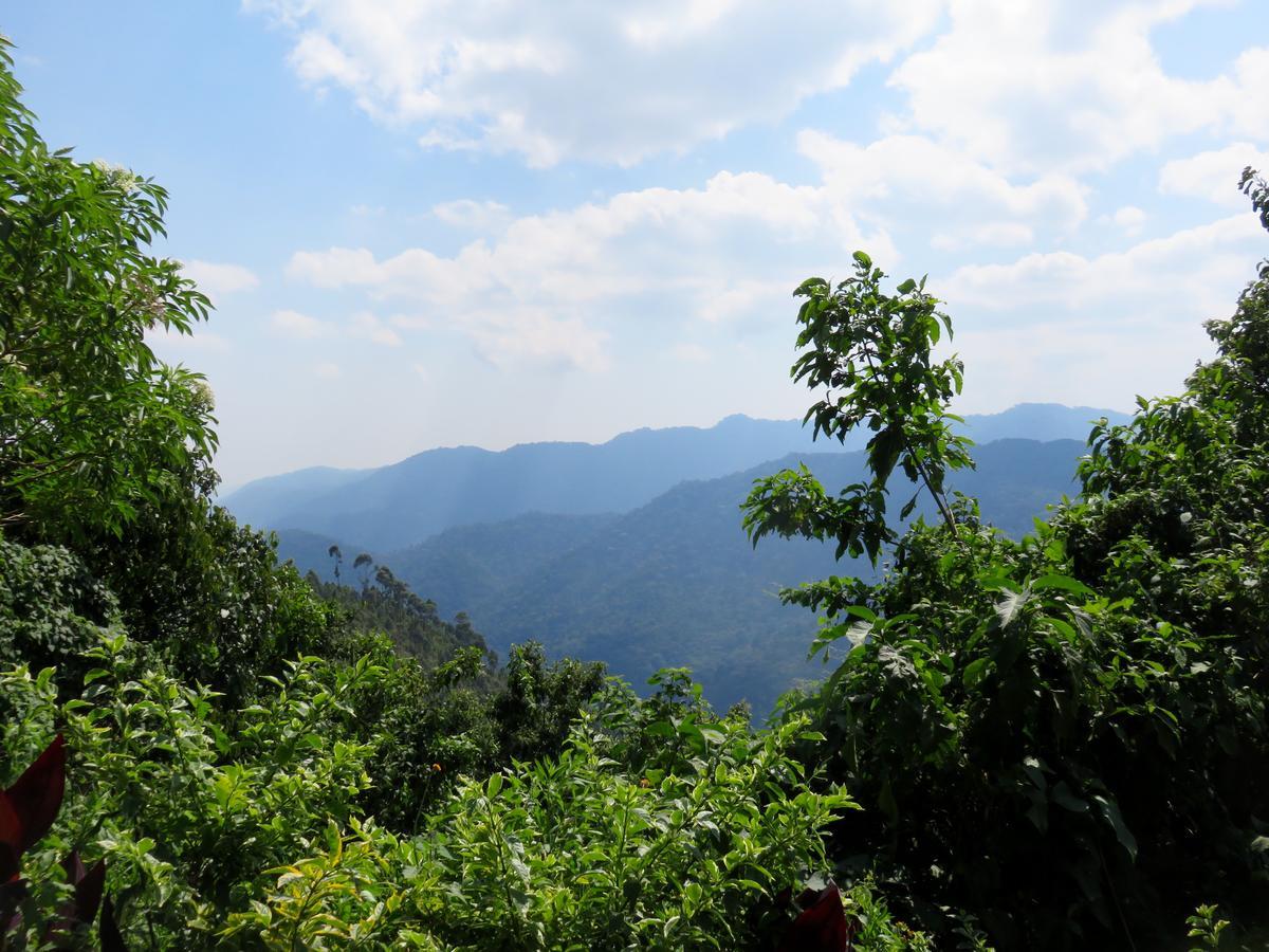 Nkuringo Bwindi Gorilla Lodge Екстер'єр фото
